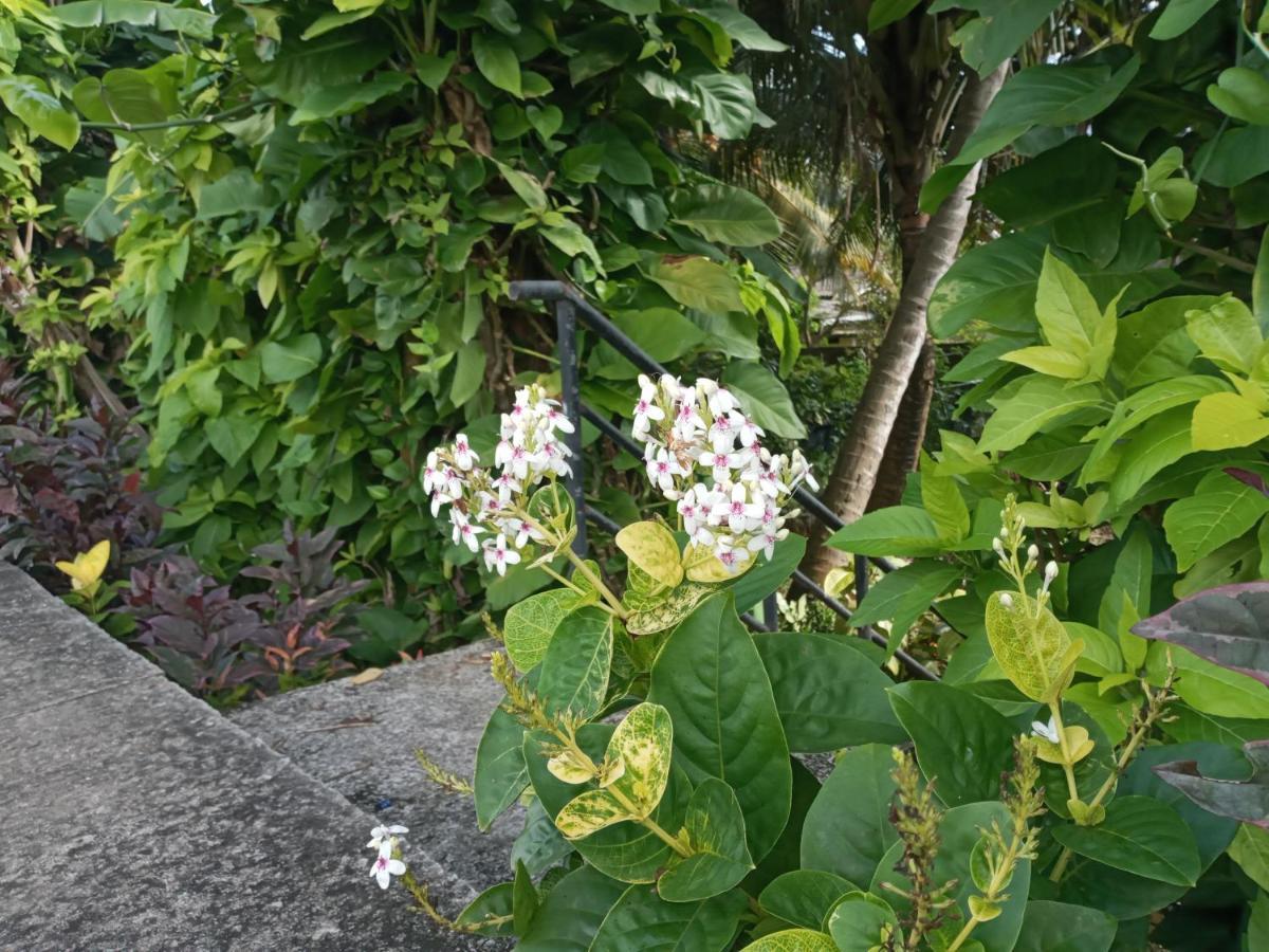 Tharul Home Bentota Exteriör bild